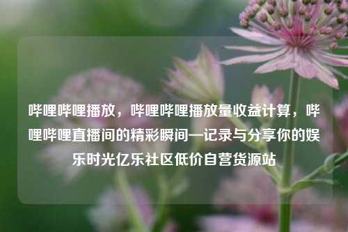 哔哩哔哩播放，哔哩哔哩播放量收益计算，哔哩哔哩直播间的精彩瞬间—记录与分享你的娱乐时光亿乐社区低价自营货源站  第1张